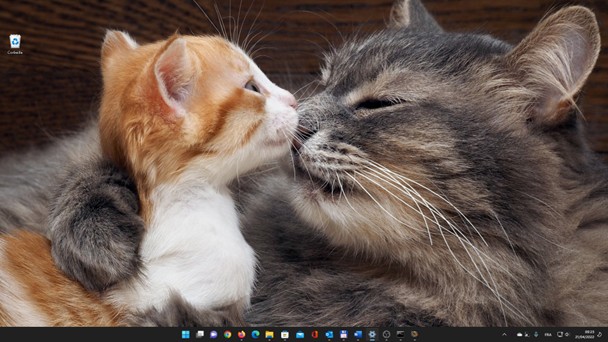 Windows 11 Utiliser Des Th mes Dans Windows 11 M diaforma Windows 11 Utiliser Des Th mes Dans Windows 11 M diaforma